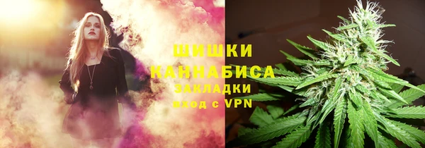 прущие грибы Алапаевск
