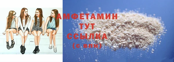 амф Ельня