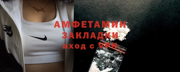 амф Ельня