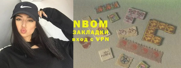 амф Ельня