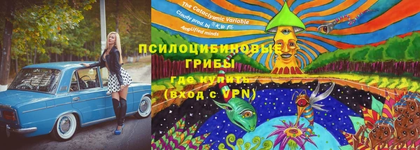 не бодяженный Елабуга
