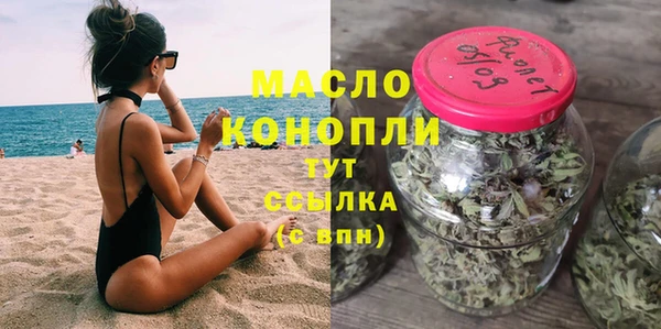 амф Ельня