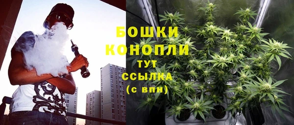 амф Ельня