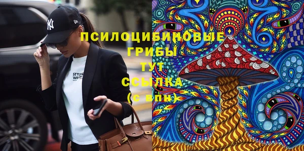 не бодяженный Елабуга