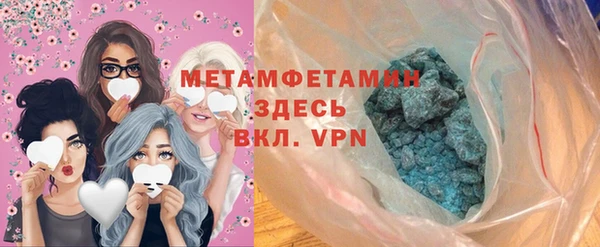 прущие грибы Алапаевск