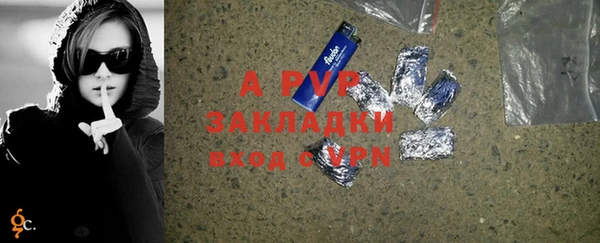 амф Ельня