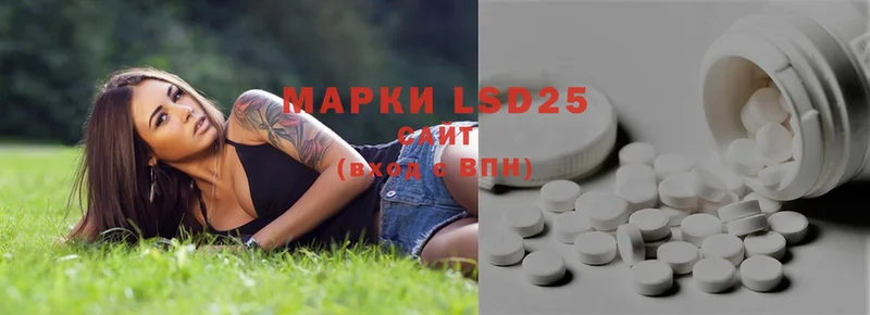 LSD-25 экстази кислота  OMG сайт  Западная Двина 