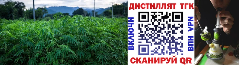 ТГК вейп  Западная Двина 