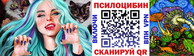 Псилоцибиновые грибы Psilocybine cubensis  блэк спрут онион  Западная Двина 